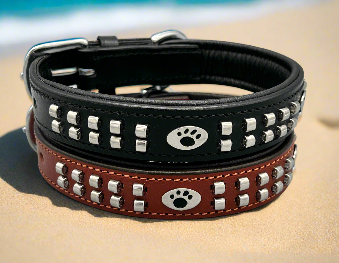 Pfoetchenwelt leder Hundehalsband mit Pfötchen