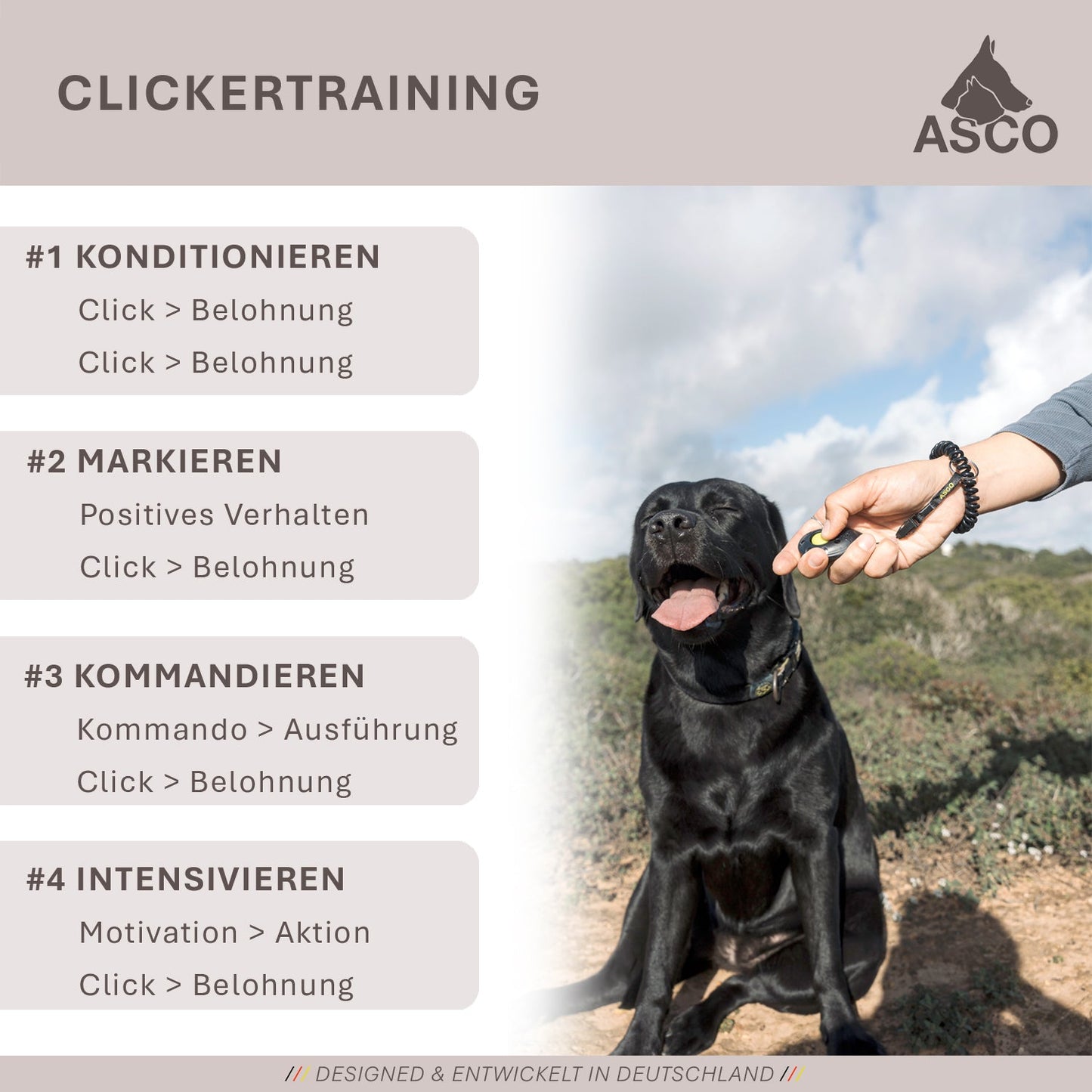 ASCO Finger Clicker – für Hunde, Katzen, Pferde
