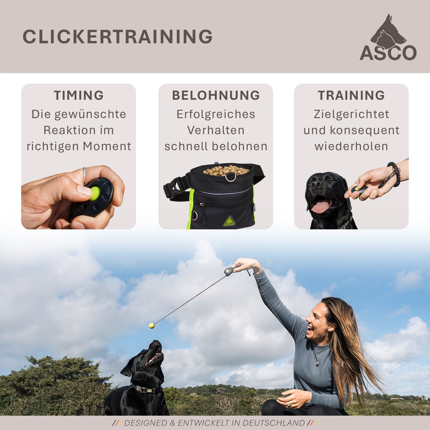 ASCO Finger Clicker – für Hunde, Katzen, Pferde