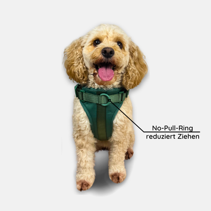 No-Pull Set Pura