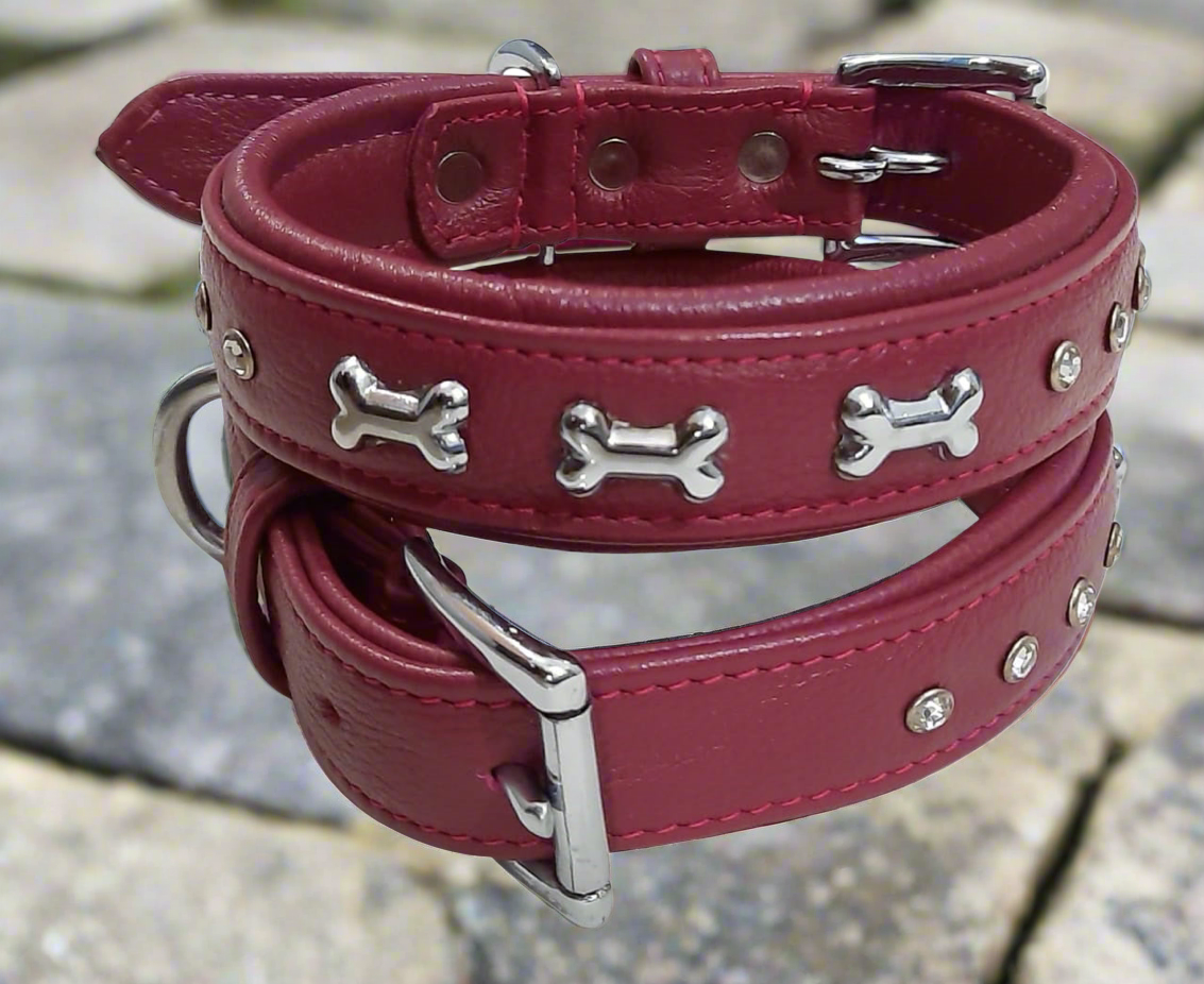 Pfoetchenwelt leder Hundehalsband verziert mit Knochen