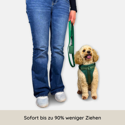 No-Pull Hundegeschirr Pura
