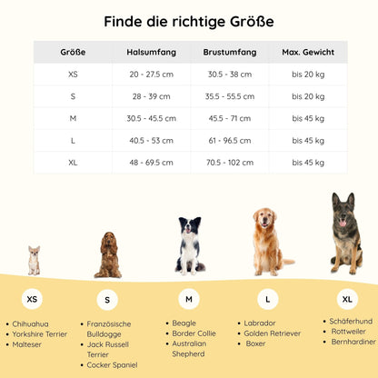 No-Pull Hundegeschirr Pura
